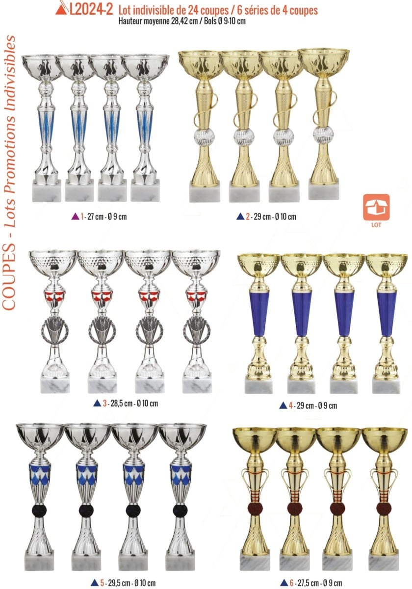 Trophée Amazon Lot De 12 Coupes Trophées Récompenses - Hauteur 19 à 23 Cm - Pour Sports, Événements Ou Cérémonies Coupe Prix Compétition